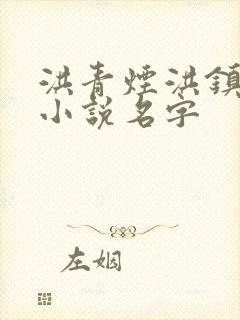 洪青烟洪镇国的小说名字