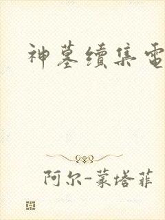 神墓续集电子书