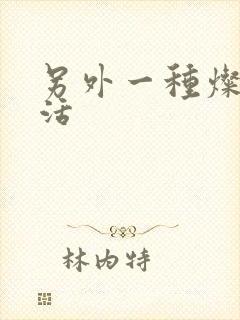 另外一种灿烂生活