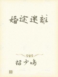 婚途迷离