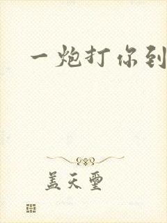 一炮打你到天亮