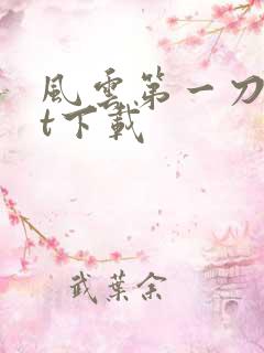 风云第一刀txt下载