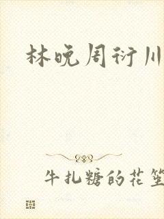 林晚周衍川小说