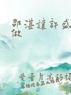 邵湛让许盛自己做