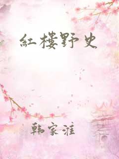 红楼野史
