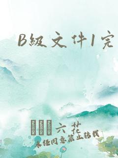 B级文件1完整