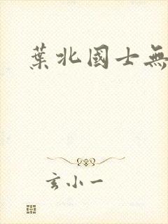 叶北国士无双