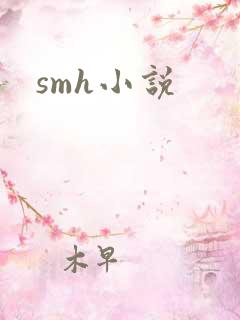 smh小说