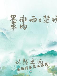 墨微雨x楚晚宁车肉