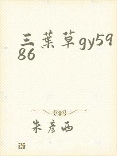 三叶草gy5986