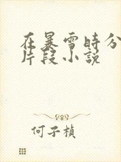 在暴雪时分高能片段小说