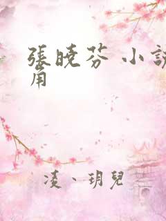 张晓芬 小说主角