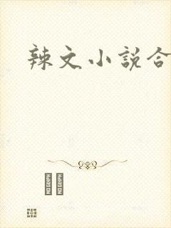 辣文小说合集
