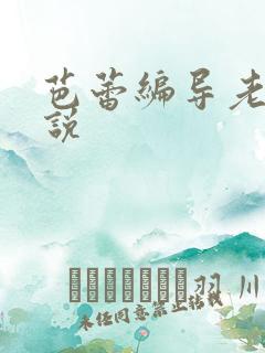 芭蕾编导老师小说