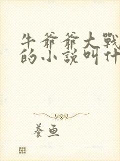 牛爷爷大战小丽的小说叫什么