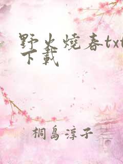 野火烧春txt下载
