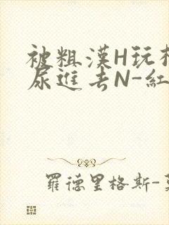 被粗汉H玩松了尿进去N-红-Q