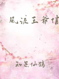 风流王爷俏相公