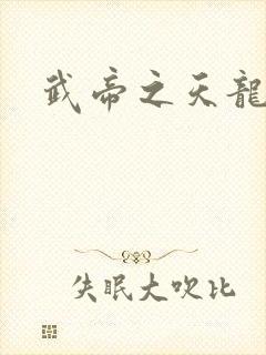 武帝之天龙八部