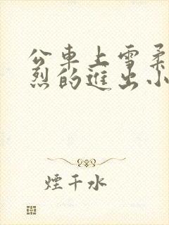 公车上雪柔被猛烈的进出小说