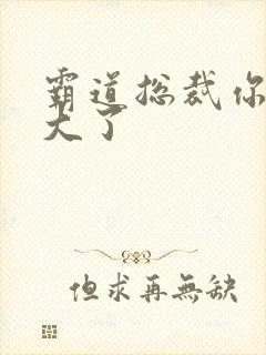 霸道总裁你的太大了