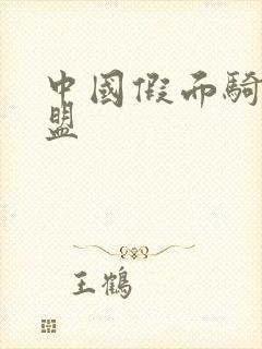 中国假面骑士联盟