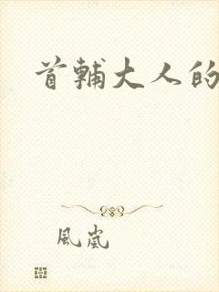 首辅大人的套路