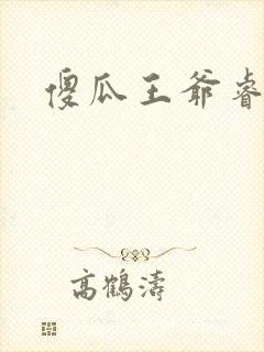 傻瓜王爷睿智妃