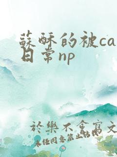 苏酥的被cao日常np