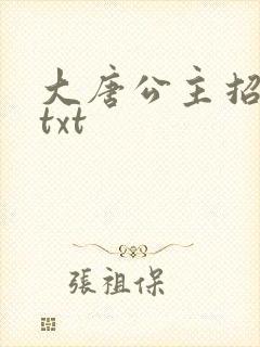 大唐公主招亲记txt