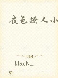 夜色撩人小说