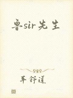 鲁sir先生
