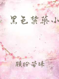 黑色禁药小说