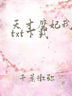 天才魔妃我要了txt下载