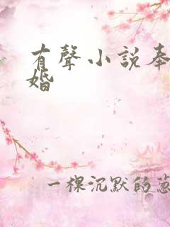 有声小说奉子成婚