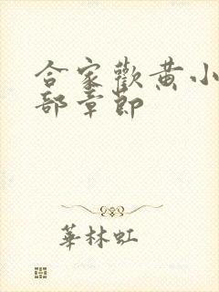 合家欢黄小梅全部章节