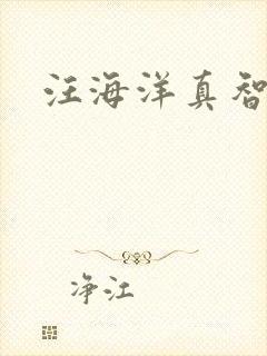汪海洋真智师太