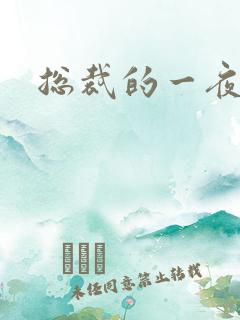 总裁的一夜情人