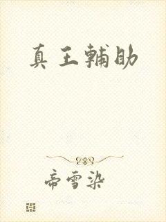 真王辅助