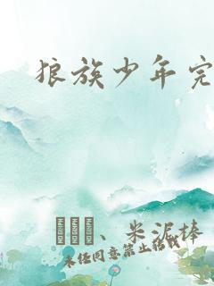 狼族少年完整版