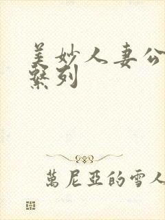 美妙人妻公务员系列