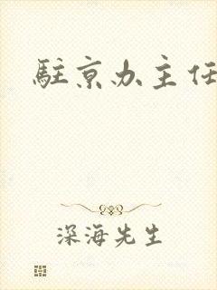 驻京办主任对手