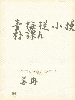青梅从小摸到大补课h