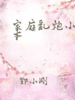 家庭乱炮小说全本