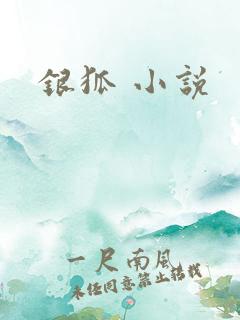 银狐 小说