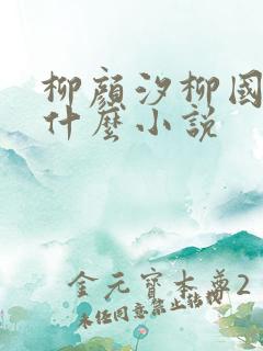 柳颜汐柳国安是什么小说