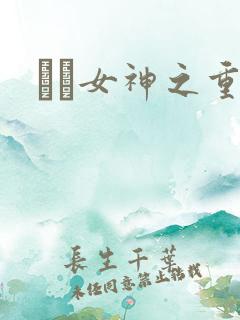 鹡鸰女神之重生