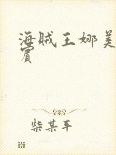 海贼王娜美h罗宾