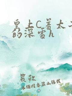 皇上C着太子妃的深处h