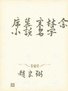 席慕寒林念儿的小说名字